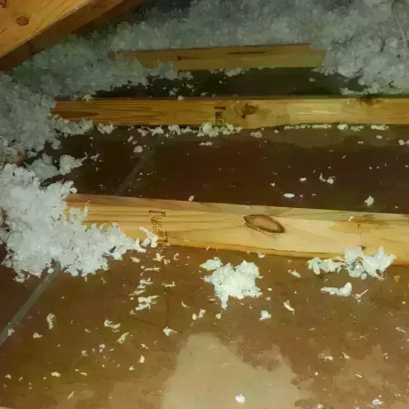 Attic Water Damage in Arab, AL